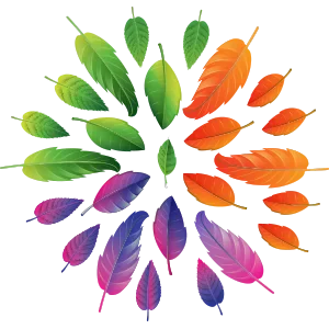 DCP Hemigal logo